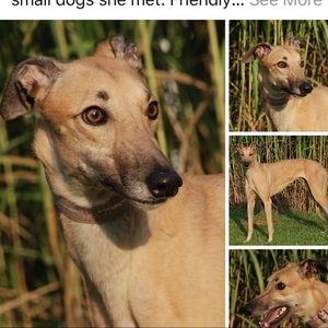 Meet your Posher, Aimee